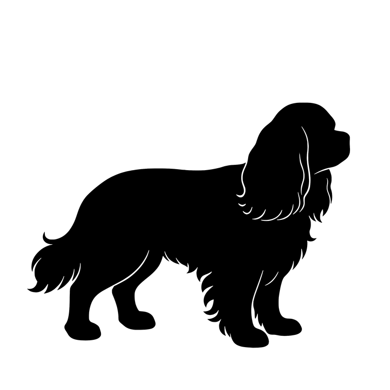 Cavalier King Charles Spaniel – Enkelmotiv Dekal