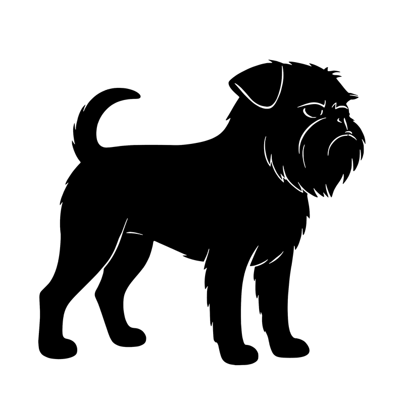 Griffon Bruxellois – Enkelmotiv Dekal