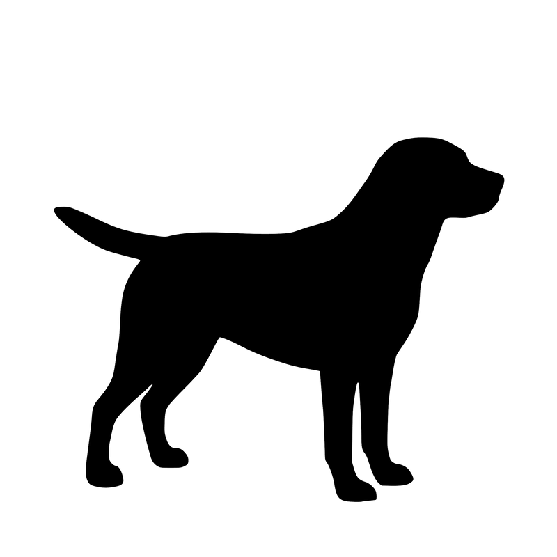 Labrador Retriever – Enkelmotiv Dekal