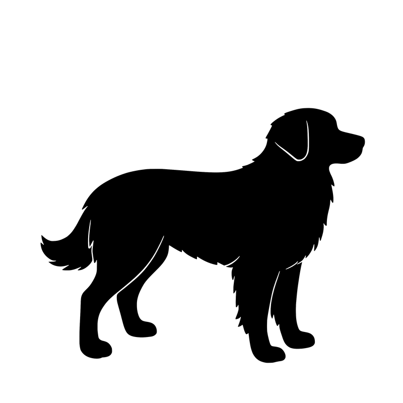 Nova Scotia Duck Tolling Retriever – Enkelmotiv Dekal