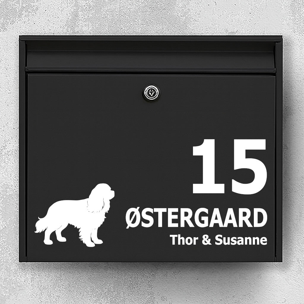Brevlådeklistermärke med Cavalier King Charles Spaniel - Personlig namnskylt och husnummer - Väderbeständig vinyl