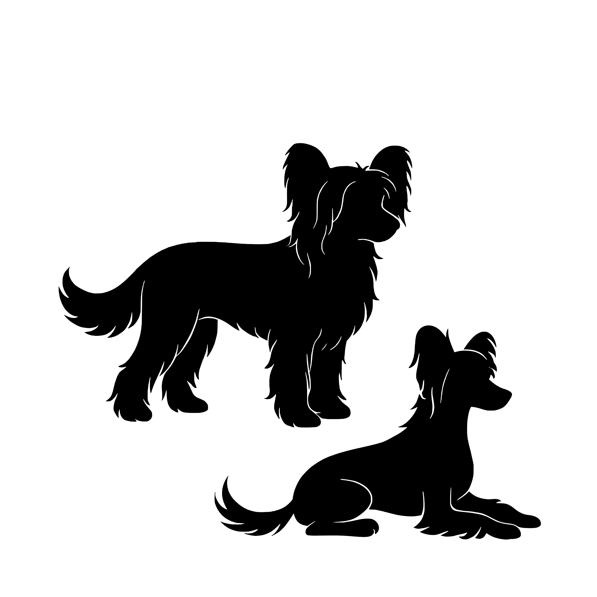 Chinese Crested – Enkelmotiv Dekal