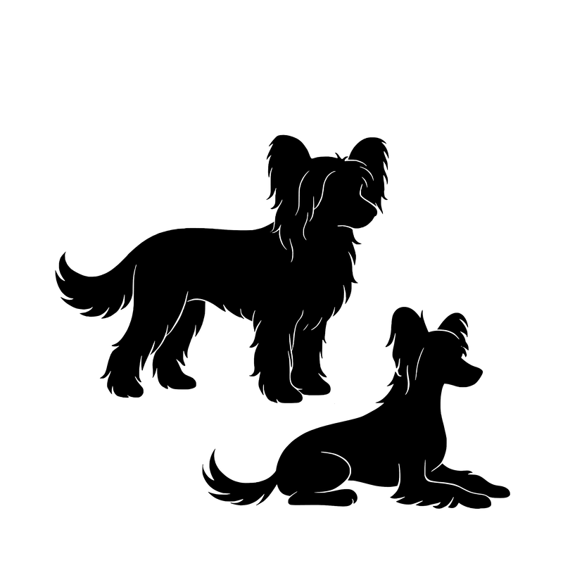 Chinese Crested – Enkelmotiv Dekal