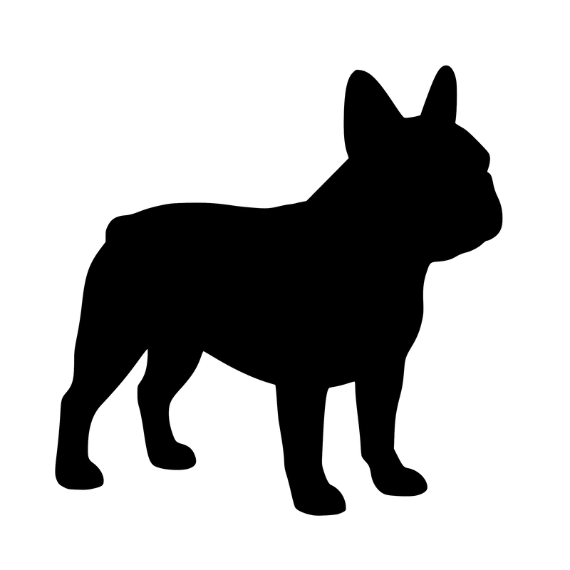 Fransk Bulldog – Enkelmotiv Dekal