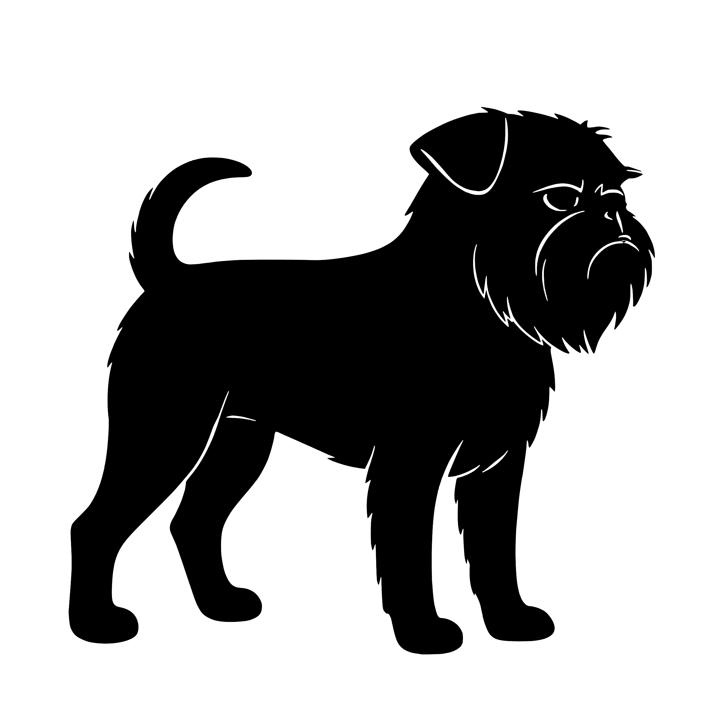 Griffon Bruxellois – Enkelmotiv Dekal