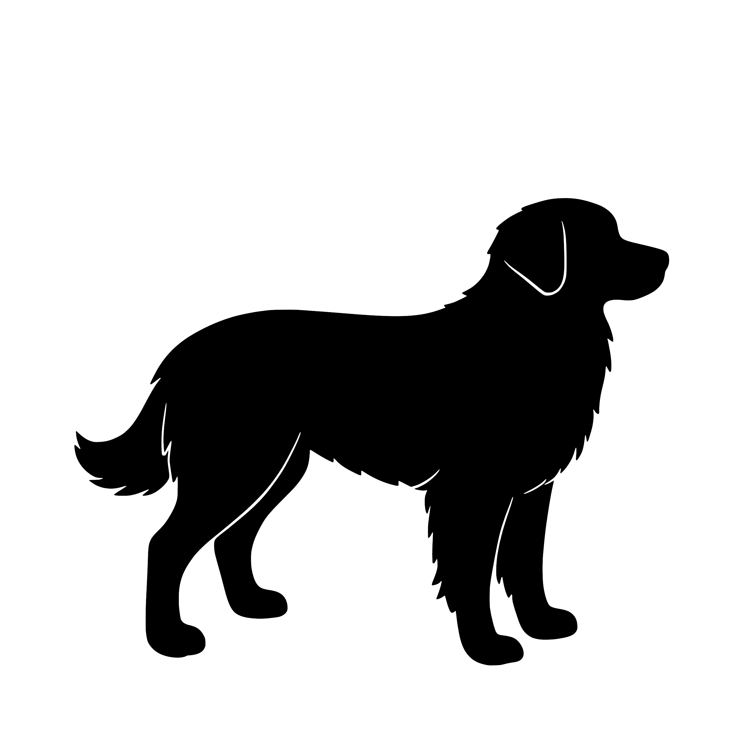 Nova Scotia Duck Tolling Retriever – Enkelmotiv Dekal