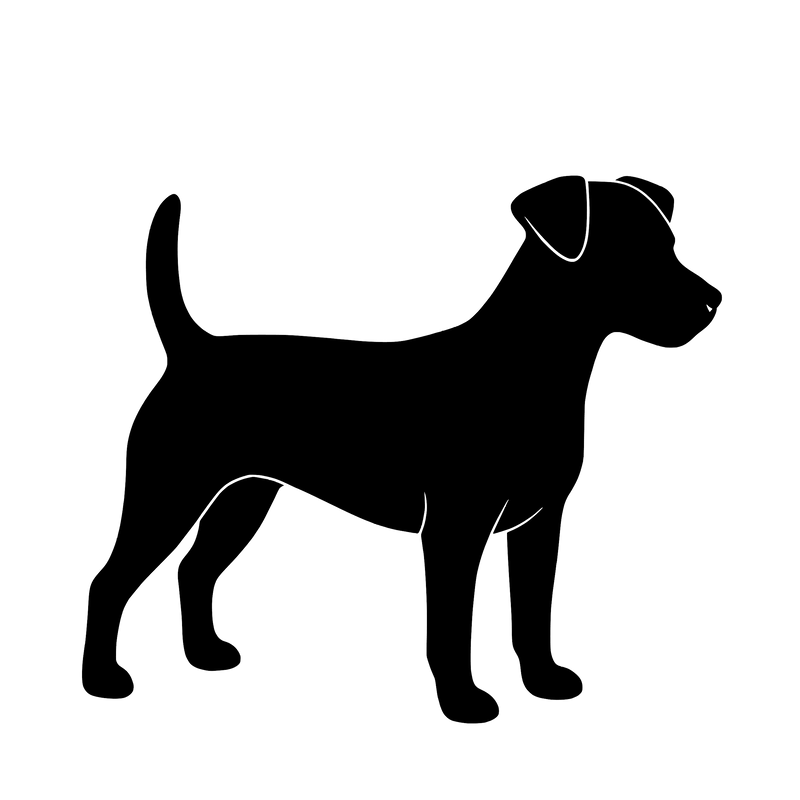 Russell Terrier – Enkelmotiv Dekal