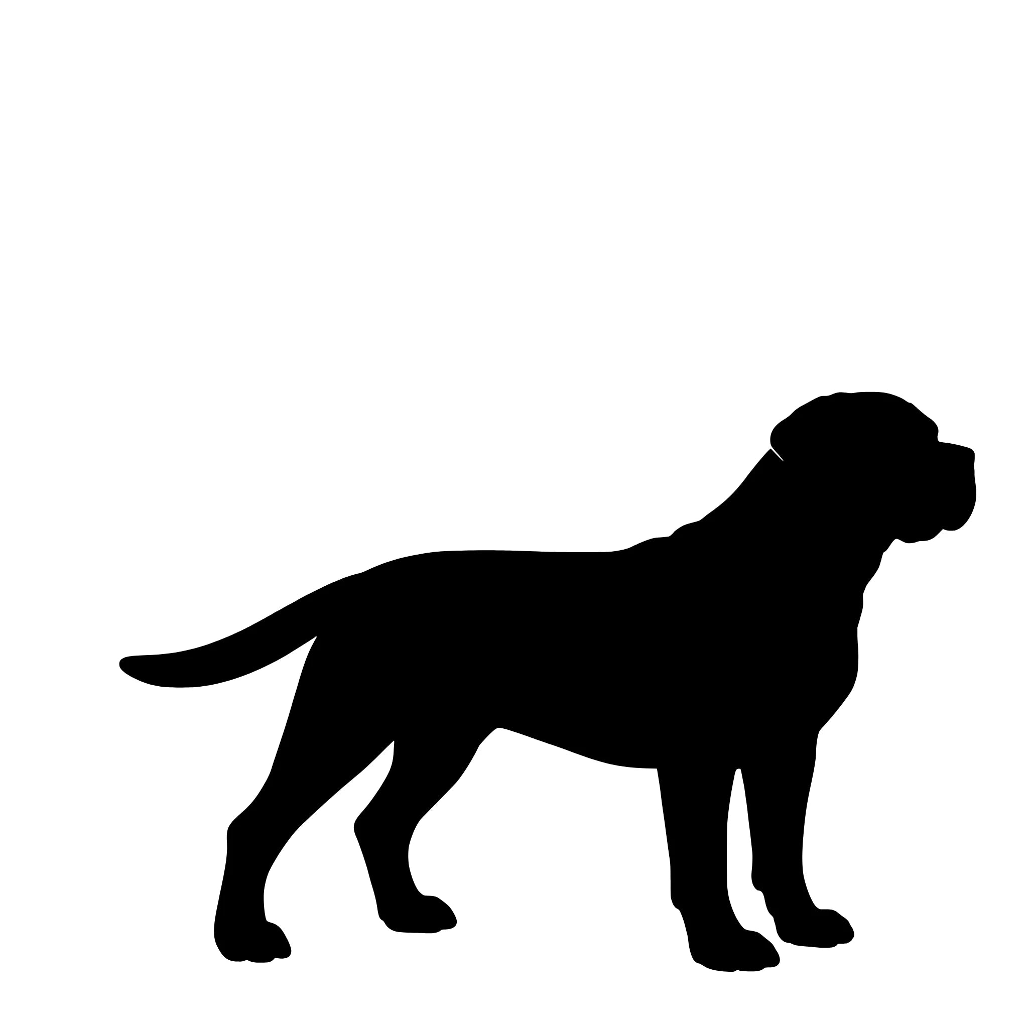 Cane Corso – Enkelmotiv Dekal