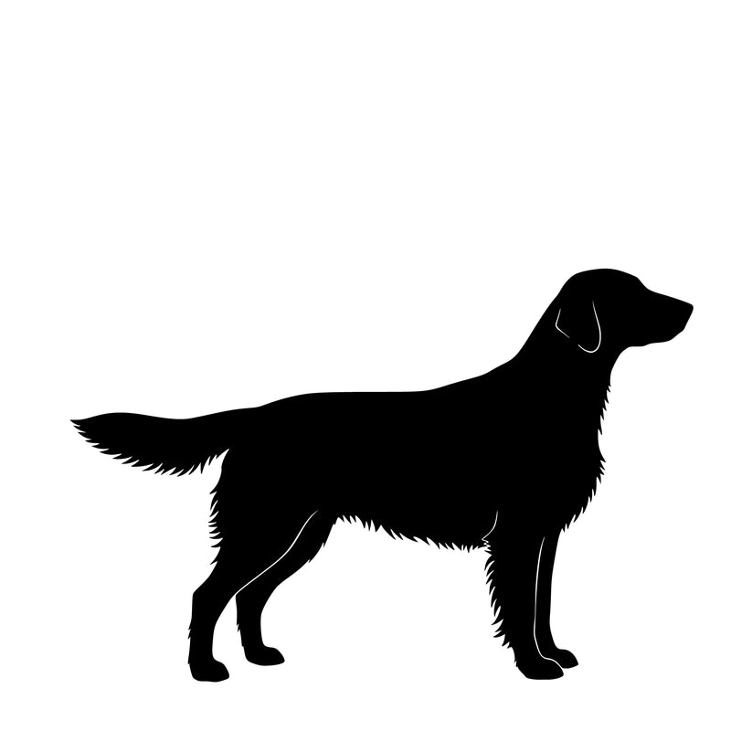 Flat Coated Retriever – Enkelmotiv Dekal
