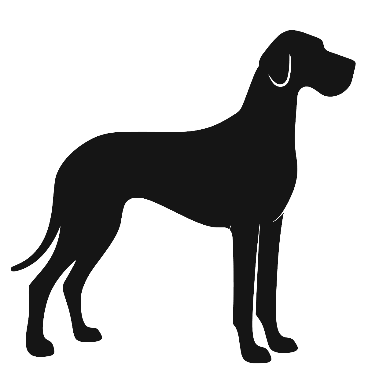 Granddanois – Enkelmotiv Dekal