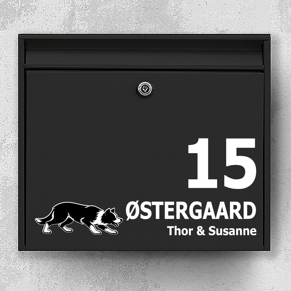 Brevlådeklistermärke med Korthårig border collie (i vallningsställning)