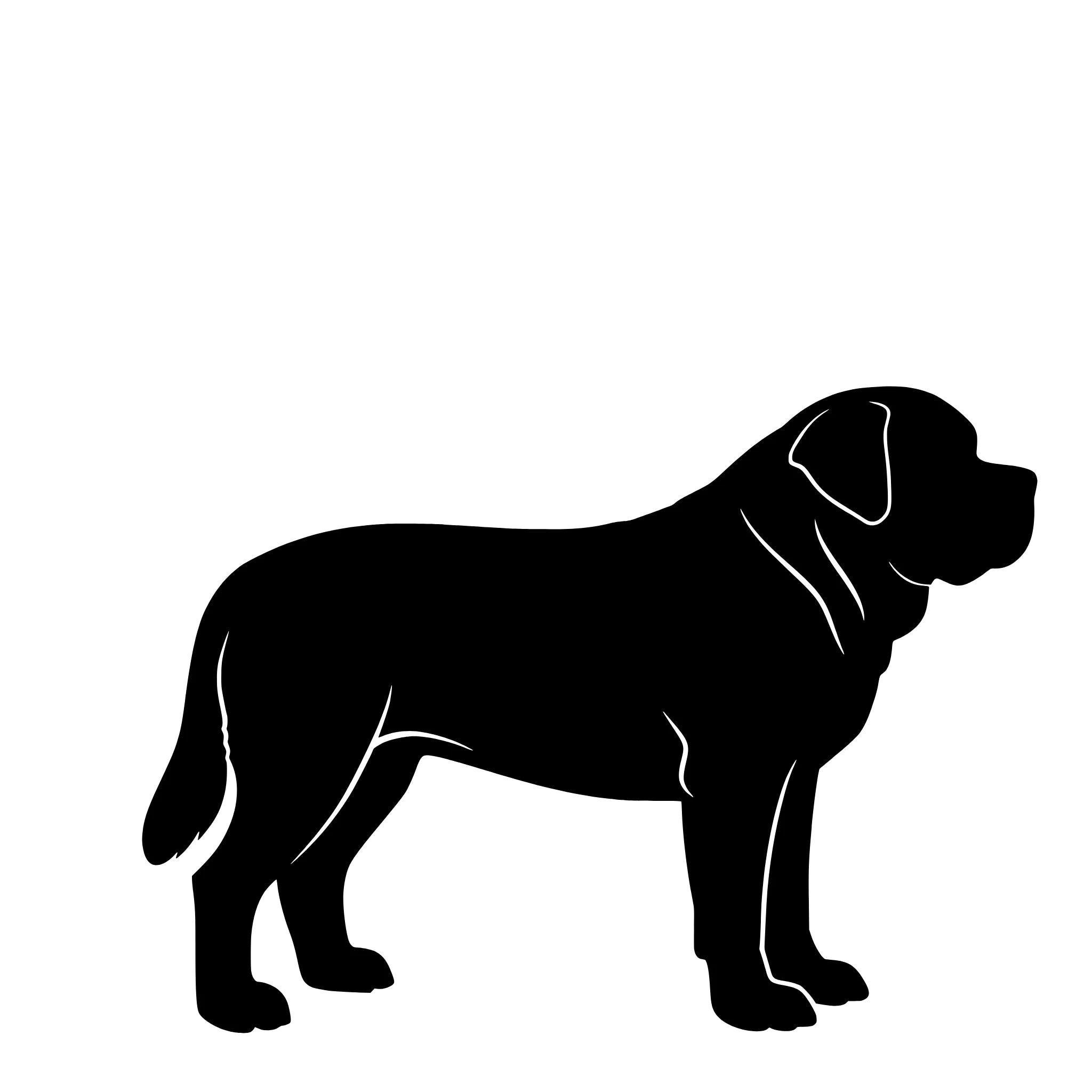 Korthårig Sankt Bernhardshund – Enkelmotiv Dekal