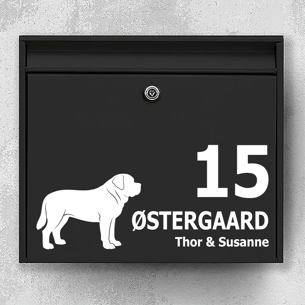 Brevlådeklistermärke med Korthårig sankt bernhardshund