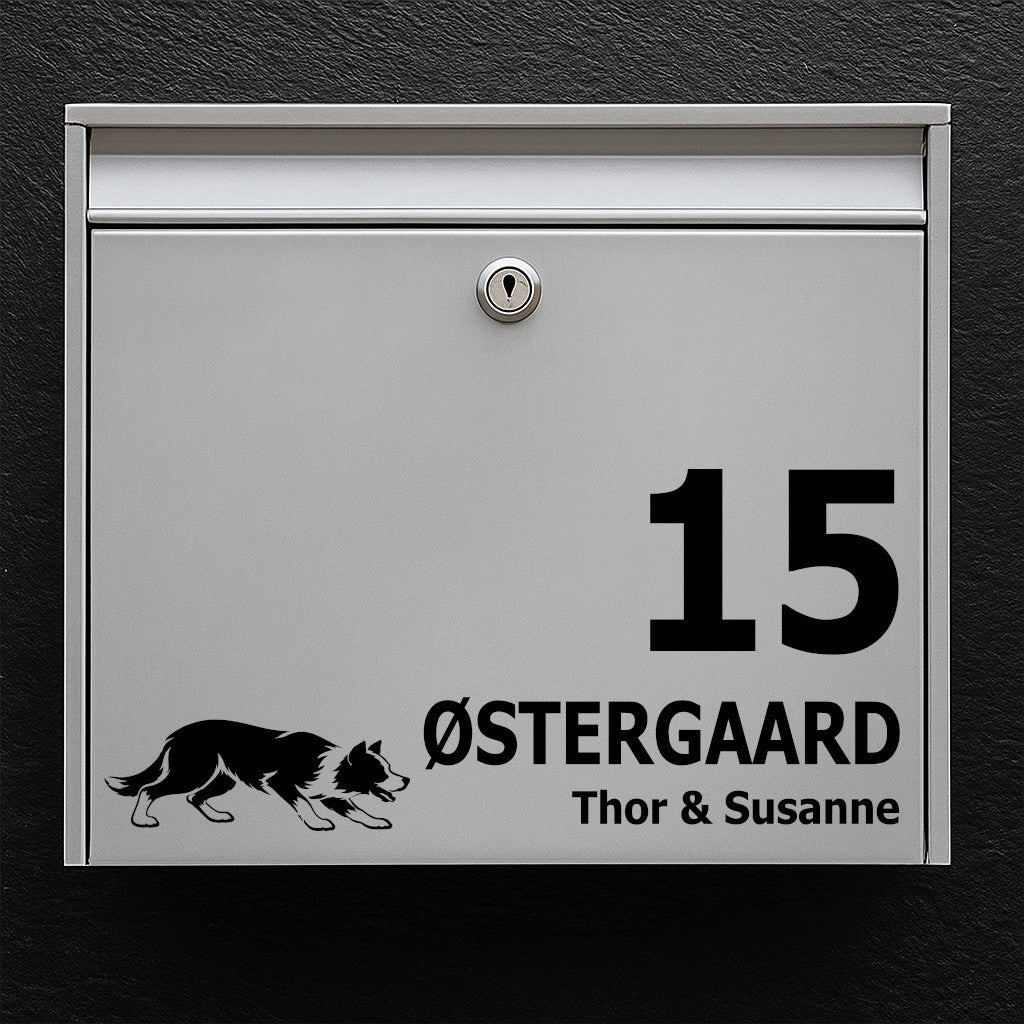 Brevlådeklistermärke med Korthårig border collie (i vallningsställning)