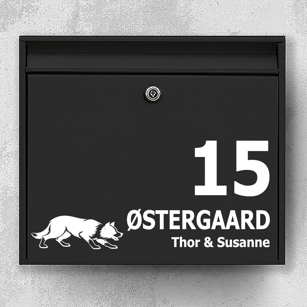 Brevlådeklistermärke med Korthårig border collie (i vallningsställning)