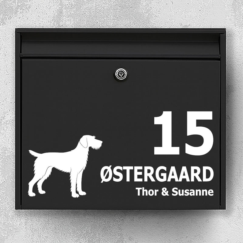 Brevlådedekal med strävhårig vorsteh
