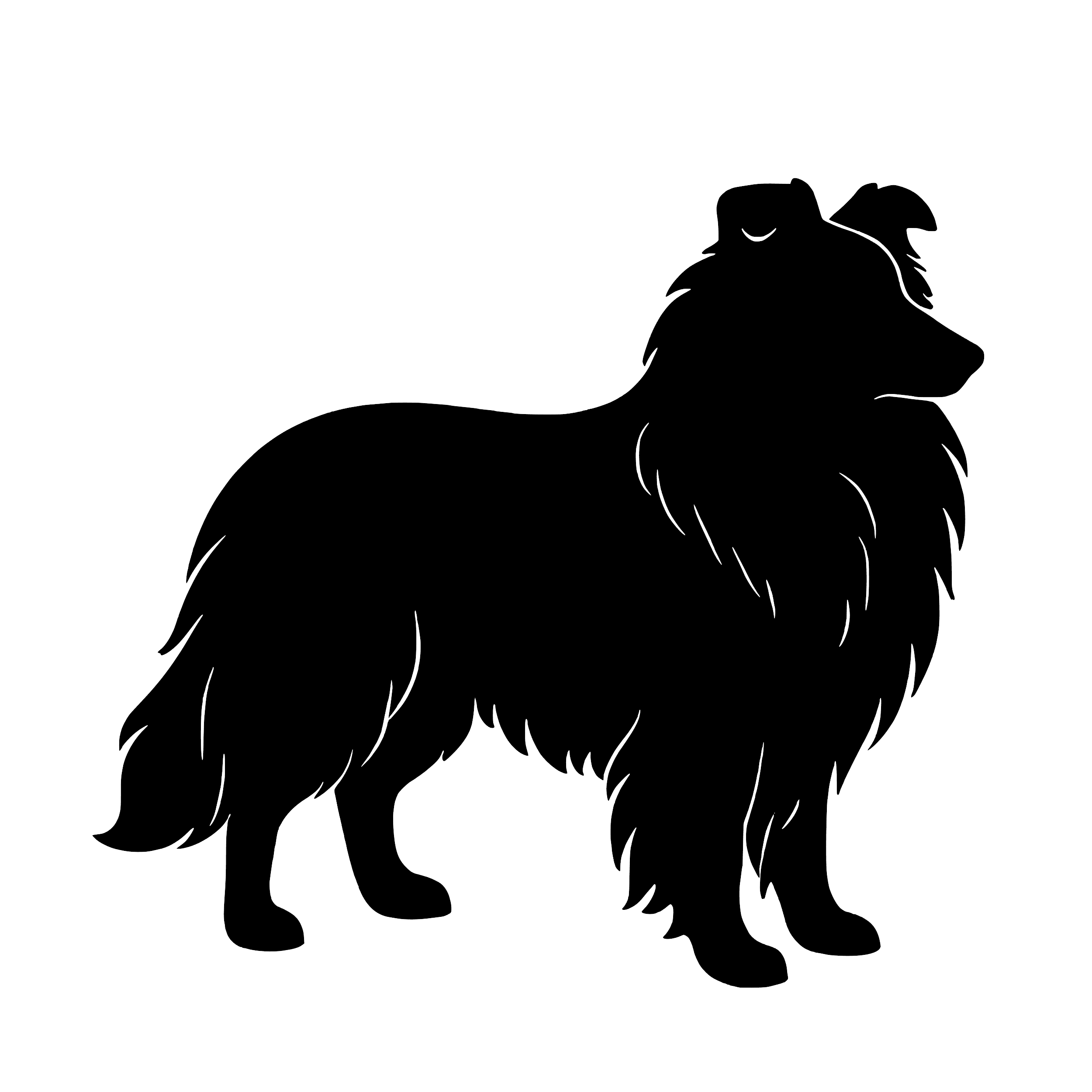 Shetland Sheepdog – Enkelmotiv Dekal