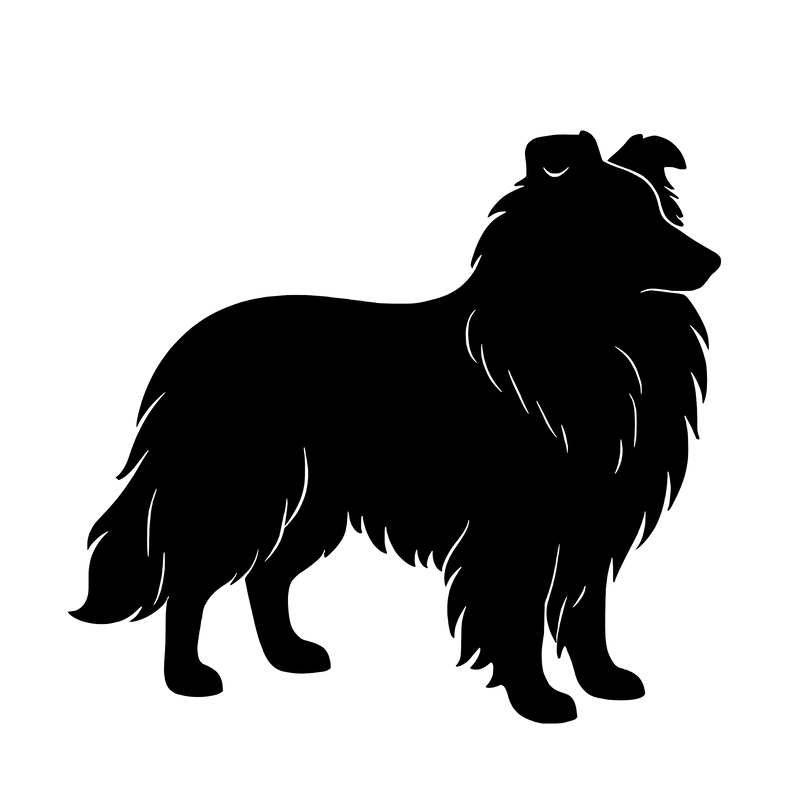 Shetland Sheepdog – Enkelmotiv Dekal